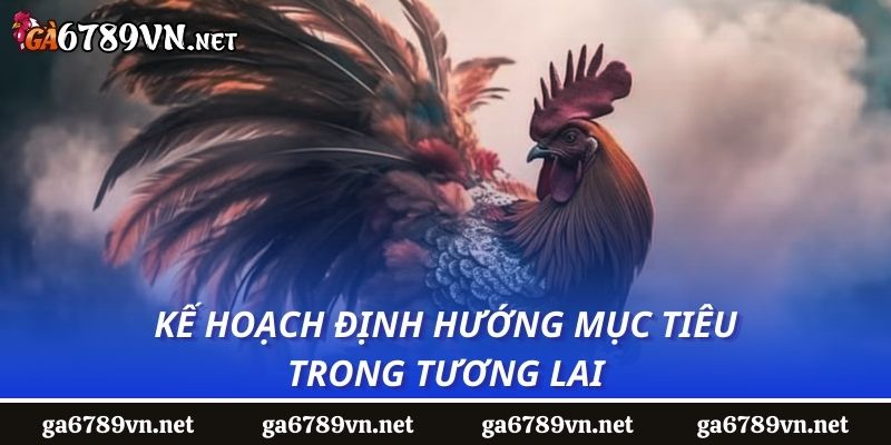 Kế hoạch định hướng mục tiêu trong tương lai