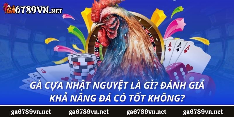 Gà cựa nhật nguyệt là gì? Đánh giá khả năng đá có tốt không?