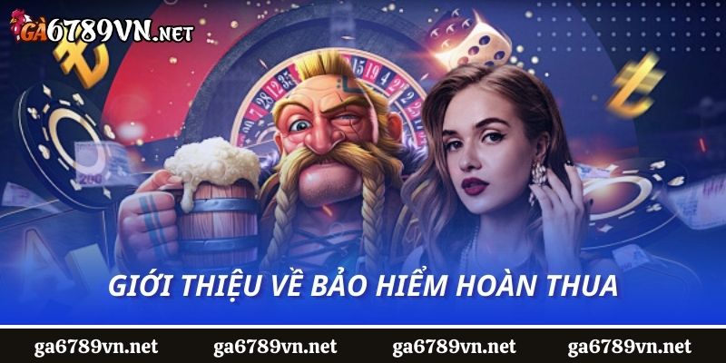 Giới thiệu về bảo hiểm hoàn thua