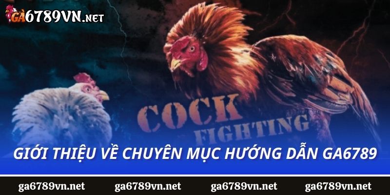 Giới thiệu về chuyên mục hướng dẫn Ga6789 