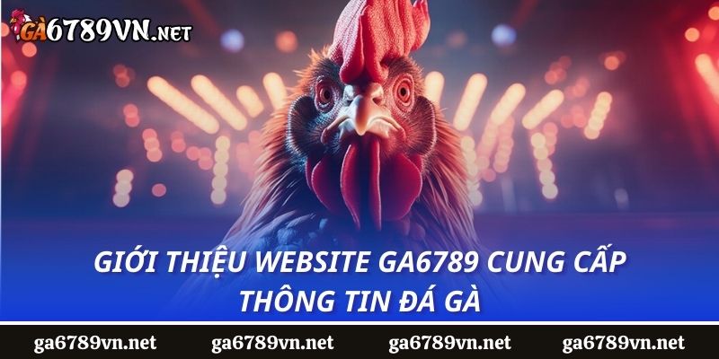 Giới thiệu website Ga6789 cung cấp thông tin đá gà