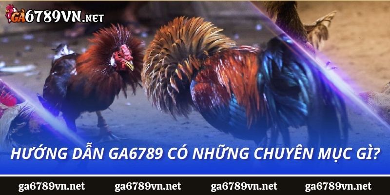 Hướng dẫn Ga6789 có những chuyên mục gì?