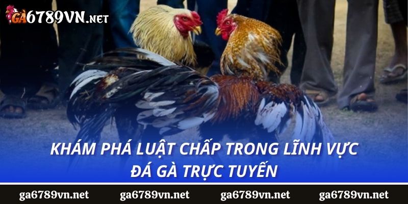 Khám phá luật chấp trong lĩnh vực đá gà trực tuyến