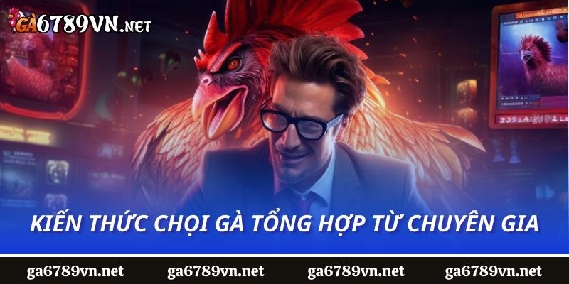 Kiến thức chọi gà tổng hợp từ chuyên gia