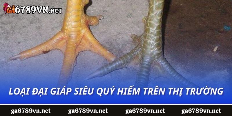 Loại đại giáp siêu quý hiếm trên thị trường