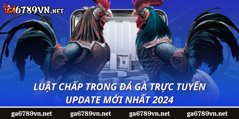 Luật chấp trong đá gà trực tuyến, update mới nhất 2024