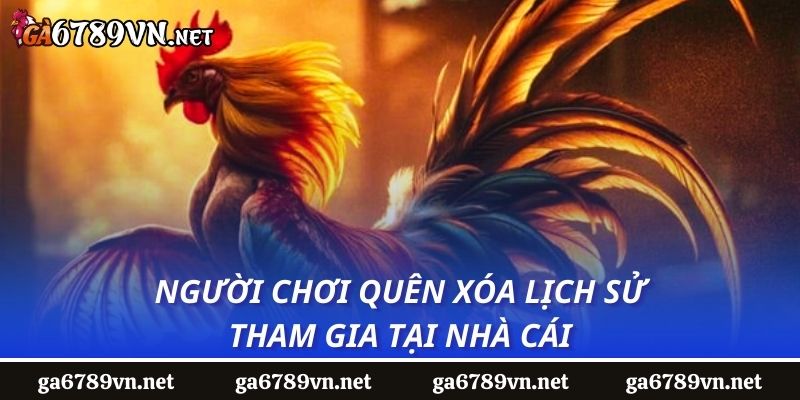 Người chơi quên xóa lịch sử tham gia tại nhà cái