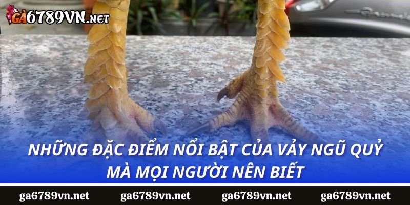 Những đặc điểm nổi bật của vảy ngũ quỷ mà mọi người nên biết