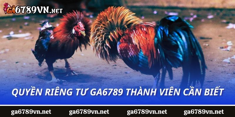 Quyền riêng tư Ga6789 thành viên cần biết