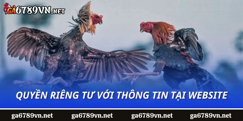 Quyền riêng tư với thông tin tại website