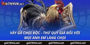 Vảy Gà Chọi Độc - Thứ Quý Giá Đối Với Mọi Anh Em Làng Chọi