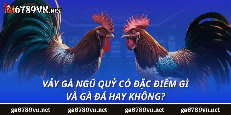 Vảy Gà Ngũ Quỷ Có Đặc Điểm Gì Và Gà Đá Hay Không?